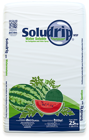 Soludrip® Watermelon