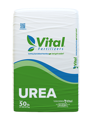 UREA